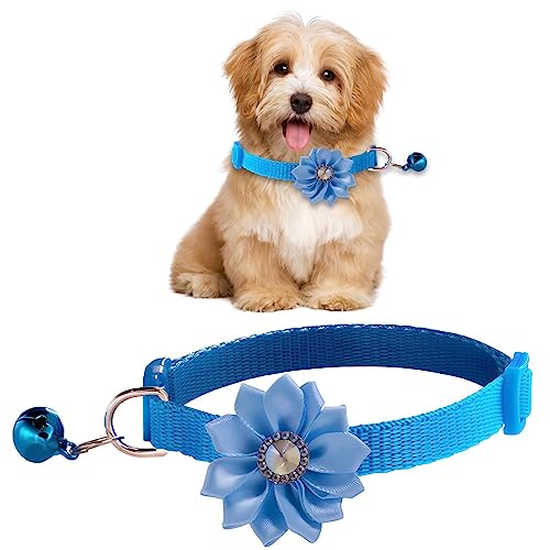 Blumenhalsband, Fliege, 19 cm, mehrfarbig, Haustierhalsband mit Glöckchen für Cosplay-Zubehör, Fliege, Charm-Blume für Welpenhalsband, Haustier-Hundehalsband, für Katzen, kleine und mittelgroße Hunde von LATAFA