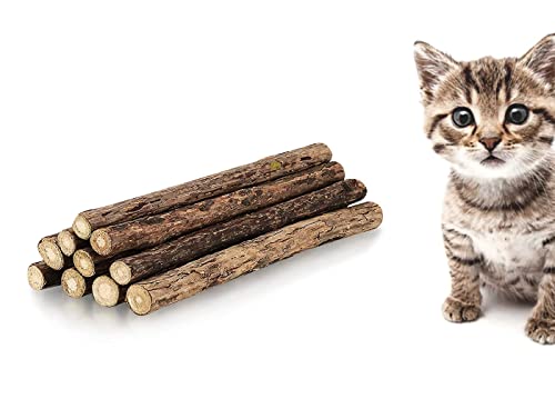 LATRAT 10 Stück Kausticks, natürliche hölzerne Katzenminze Sticks für Zähneknirschen, Spielzeug von LATRAT