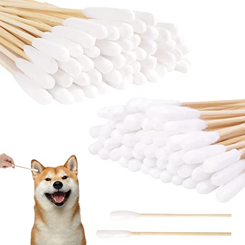 LATRAT 100 Stücke Wattestäbchen, Ohrreinigungsstäbchen Haustier mit Breiter Kopf - für Haustiere Hunde, Katzen LATRAT 100 Stücke Wattestäbchen, Ohrreinigungsstäbchen Haustier mit Breiter Kopf - für Haustiere Hunde, Katzen von LATRAT