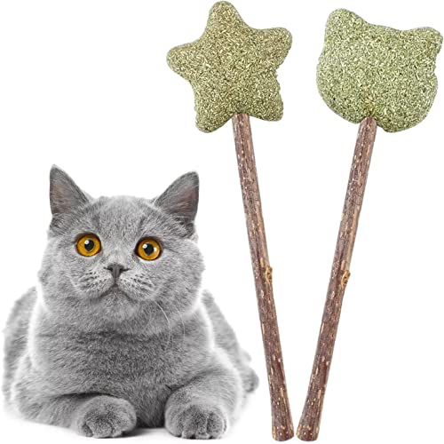 LATRAT 2 Stück Katzenminze Spielzeug für Katze, Katzenminze Spielzeug für Katzen aus getrockneter Katzenminze zum Lecken,Katzenminze Sticks zum Schleifen von Zähnen LATRAT 2 Stück Katzenminze Spielzeug für Katze, Katzenminze Spielzeug für Katzen aus getrockneter Katzenminze zum Lecken,Katzenminze Sticks zum Schleifen von Zähnen von LATRAT