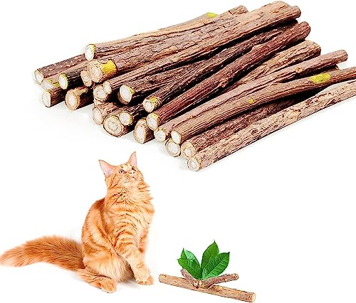 LATRAT 30 Stück Katzenminze Sticks, Katzenminze Kausticks, Katzenzahnsticks, Katzenspielzeug, Kausticks Kaustäbchen Holz Helfen spielerisch bei Zahnstein von LATRAT