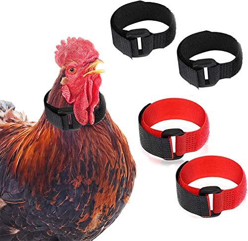 LATRAT 4 Stück Hahnenhalsband No-Crow Hühner Halsband, aus Nylon, Huhn-Halsband, verstellbar, verhindert Schreien von Hühnern von LATRAT