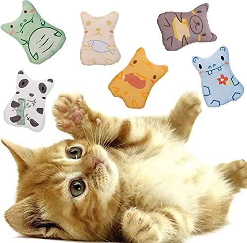 LATRAT 6 Stück Katzenspielzeug Set, Cartoon-Kauspielzeug für Katzen, Kätzchen, Zahnreinigung im Innenbereich, Spielen, Schleifen, Kralle von LATRAT