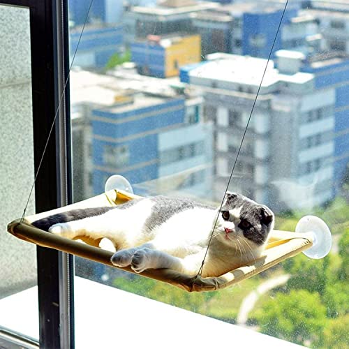 LATRAT Hängematte für Katzen, Fenster mit verbesserten Saugnäpfen – Tragfähigkeit 15 kg, 55 x 35 cm von LATRAT