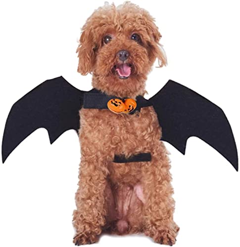 LATRAT Halloween Haustier Kostüm, Kostüm Halloween Haustier Kostüme Zubehör Pet Bat Hund Kostüm, Für Kleine Hunde Und Katzen von LATRAT