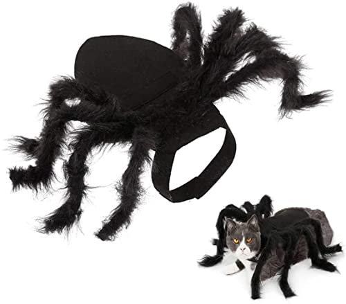 LATRAT Halloween-Kostüm, Spinnen-Hundekostüm, Plüschspinnen-Kostüm, Outfits für Katze und Hund, Cosplay, Halloween, Party, Größe S LATRAT Halloween-Kostüm, Spinnen-Hundekostüm, Plüschspinnen-Kostüm, Outfits für Katze und Hund, Cosplay, Halloween, Party, Größe S von LATRAT