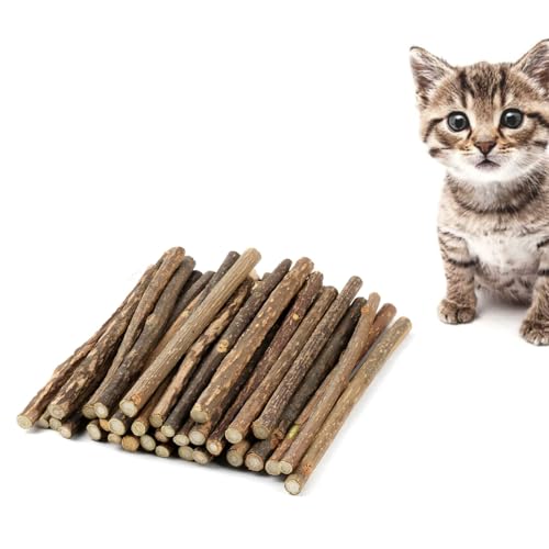 LATRAT Sticks für Katzen,Kauknochen für Katzen Mundgeruch,Natürliche hölzerne Katzenminze Sticks für Zahnen, Spielzeug(32pcs) von LATRAT