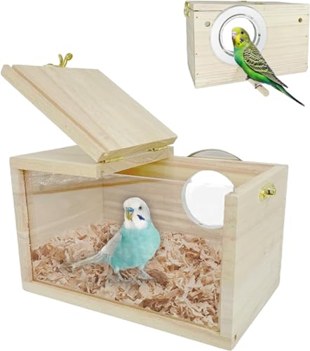 LATRAT Wellensittich Nistkasten Transparentes Design, Vogelhäuschen aus Naturholz Kleines Vogelnest, Holz Voliere Brutkasten für Liebevogel Ellensittich Sittich Lovebirds Papageien LATRAT Wellensittich Nistkasten Transparentes Design, Vogelhäuschen aus Naturholz Kleines Vogelnest, Holz Voliere Brutkasten für Liebevogel Ellensittich Sittich Lovebirds Papageien von LATRAT