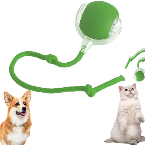 Chewie Rolling Ball - Elektrischer Hundeball, Chase Mate Katzenspielzeug, Interaktives Spielzeug, Smart Automatisch Rollender für Kleine, Mittlere Hunde (Grün) von LAUFUY