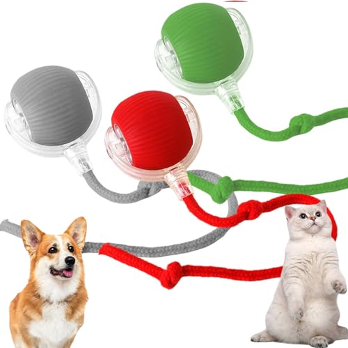 Chewie Rolling Ball - Elektrischer Hundeball, Chase Mate Katzenspielzeug, Interaktives Spielzeug, Smart Automatisch Rollender Ball für Kleine, Mittlere Hunde (3 Stück) Chewie Rolling Ball - Elektrischer Hundeball, Chase Mate Katzenspielzeug, Interaktives Spielzeug, Smart Automatisch Rollender Ball für Kleine, Mittlere Hunde (3 Stück) von LAUFUY
