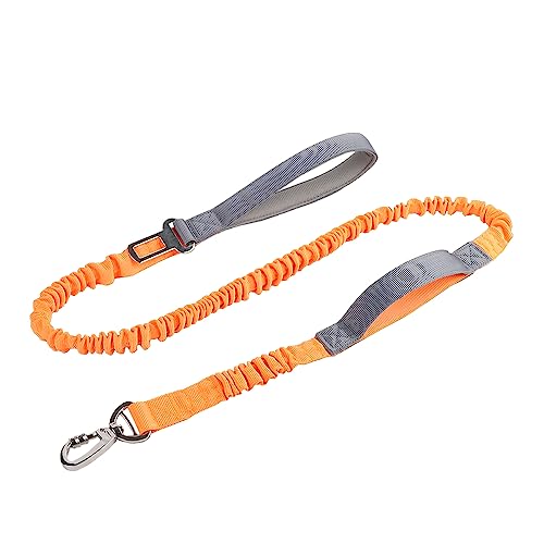 LAVAMOND Elastische Hundeleine, kein Ziehen, Sicherheitsgurt, strapazierfähig, stoßdämpfend, für kleine, mittelgroße und große Hunde (Orange) von LAVAMOND