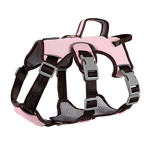 LAVAMOND Hundegeschirr, weich gepolstert, mit Hebegriff und Leinenclip, kein Ziehen, ausbruchsicher, reflektierend, verstellbar für kleine, mittelgroße Hunde (Rosa, L) von LAVAMOND