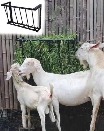 Futtertrog für Nutztiere Wandhalterung for Viehfutter mit Höhenverstellung 58 cm Futtertrog für Nutztiere Wandhalterung for Viehfutter mit Höhenverstellung 58 cm von LCUVIMPEX