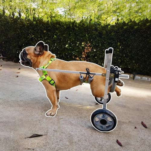 LCUVIMPEX Elldog im Rollstuhl Hunderollstuhl, verstellbare Rücken- und Beinstütze, kleine/mittelgroße Hunde, 2,5–10,9 kg, Aluminiumlegierung(L Wide) von LCUVIMPEX