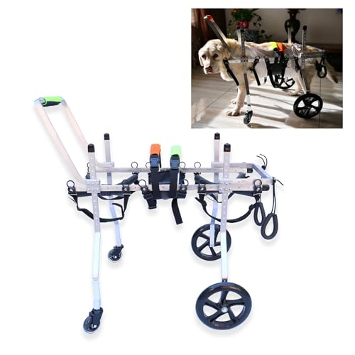 LCUVIMPEX Elldog im Rollstuhl Hunderollstuhl for Hinterbeine, verstellbar, die Mobilität von Haustieren, mehrere Größen(Size M) von LCUVIMPEX