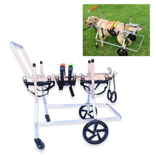 LCUVIMPEX Elldog im Rollstuhl Hunderollstuhl for Hinterbeine, verstellbar, die Mobilität von Haustieren, mehrere Größen(Size XXL) von LCUVIMPEX