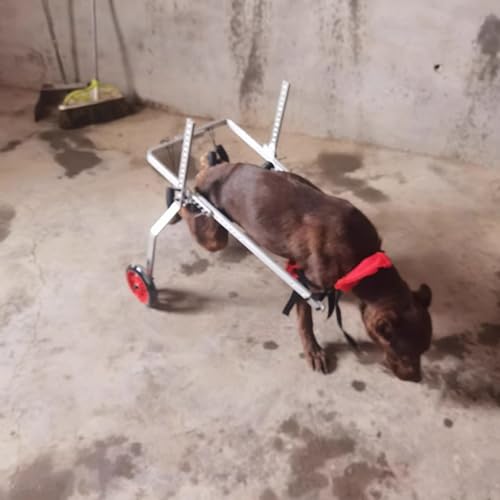 LCUVIMPEX Elldog im Rollstuhl Verstellbarer Hunderollstuhl mit 4 Rädern, leicht, aus Aluminium, for kleine/große Hunde, mehrere Größen(2 Wheels,L) von LCUVIMPEX