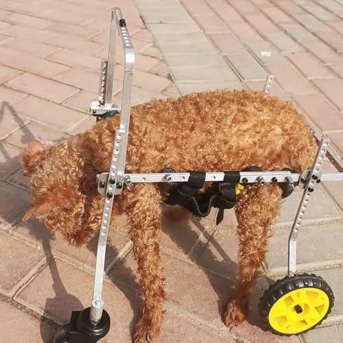 LCUVIMPEX Elldog im Rollstuhl Verstellbarer Hunderollstuhl mit 4 Rädern, leicht, aus Aluminium, for kleine/große Hunde, mehrere Größen(4 Wheels,L) von LCUVIMPEX