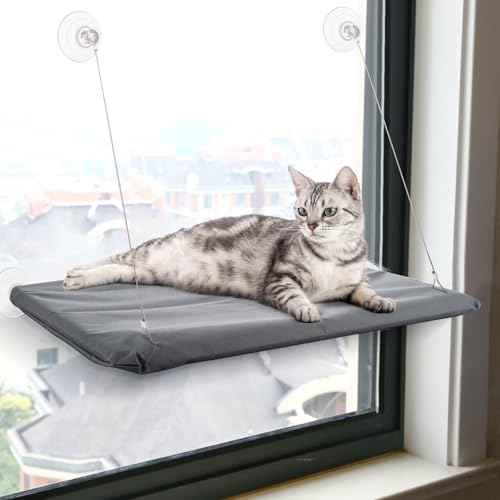 LDHHYH Katzen-Fenster-Sitzstange, 55 x 35 cm, faltbar, Katzen-Fensterbett mit starken Saugnäpfen, atmungsaktives Oxford-Gewebe, Haustier-Sonnenbadesitz für Indoor-Katzen, 2 Stück LDHHYH Katzen-Fenster-Sitzstange, 55 x 35 cm, faltbar, Katzen-Fensterbett mit starken Saugnäpfen, atmungsaktives Oxford-Gewebe, Haustier-Sonnenbadesitz für Indoor-Katzen, 2 Stück von LDHHYH