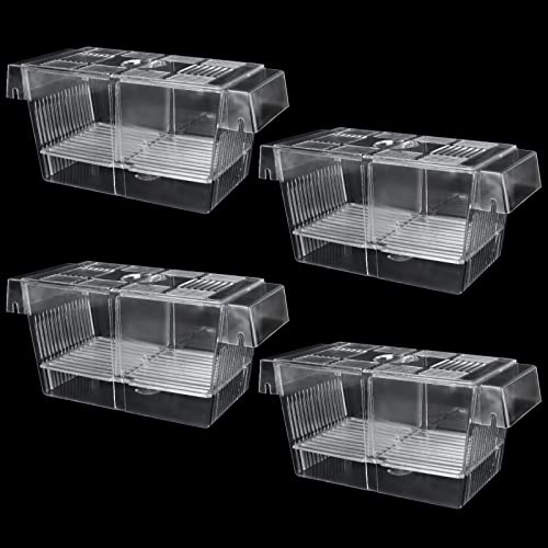 LDXDRU 4 Stück Ablaichkasten Aquarium, Klein Brutschbrüpfen Aklimationsbox, Aggressiv Verletzte, Schwangere Fische, Kleine Fische, Garnelen, Clownfische LDXDRU 4 Stück Ablaichkasten Aquarium, Klein Brutschbrüpfen Aklimationsbox, Aggressiv Verletzte, Schwangere Fische, Kleine Fische, Garnelen, Clownfische von LDXDRU