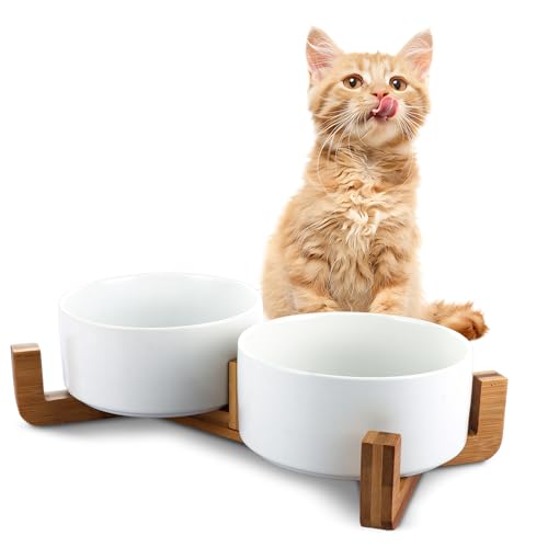 LDXDRU Weißer erhöhter Hundenapf mit Holzständer, 850 ml, Keramik, Doppel-Hundefutter- und Wassernapf, Haustierfutter, Wasser-Futterspender für Katzen und mittelgroße Hunde, 2 Näpfe und 1 Ständer von LDXDRU