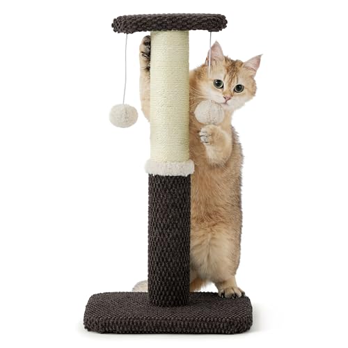 Lesure Kleiner Kratzstamm für Katzen - 57 cm Kratzsäule Mit Plattform Aus Strapazierfähiger Teppichstoff, Stabiler Kratzbaum Mit Sisal und Hängendem Ball, Braun Lesure Kleiner Kratzstamm für Katzen - 57 cm Kratzsäule Mit Plattform Aus Strapazierfähiger Teppichstoff, Stabiler Kratzbaum Mit Sisal und Hängendem Ball, Braun von LE SURE