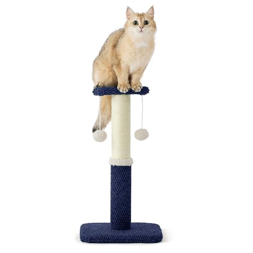Lesure Kleiner Kratzstamm für Katzen - 57 cm Kratzsäule Mit Plattform Aus Strapazierfähiger Teppichstoff, Kratzbaum Klein Stabil Mit Sisal und Hängendem Ball, Marineblau Lesure Kleiner Kratzstamm für Katzen - 57 cm Kratzsäule Mit Plattform Aus Strapazierfähiger Teppichstoff, Kratzbaum Klein Stabil Mit Sisal und Hängendem Ball, Marineblau von LE SURE