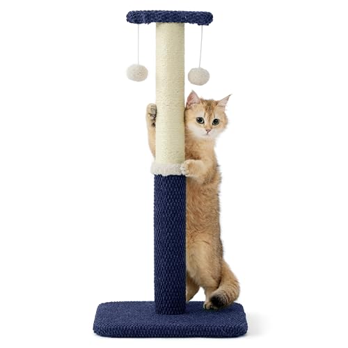 Lesure Kratzstamm Mittelgroß - 74 cm Kratzsäule für Katzen Mit Plattform Aus Strapazierfähiger Teppichstoff, Kratzbaum Stabil Mit Sisal und Hängendem Ball, Marineblau Lesure Kratzstamm Mittelgroß - 74 cm Kratzsäule für Katzen Mit Plattform Aus Strapazierfähiger Teppichstoff, Kratzbaum Stabil Mit Sisal und Hängendem Ball, Marineblau von LE SURE