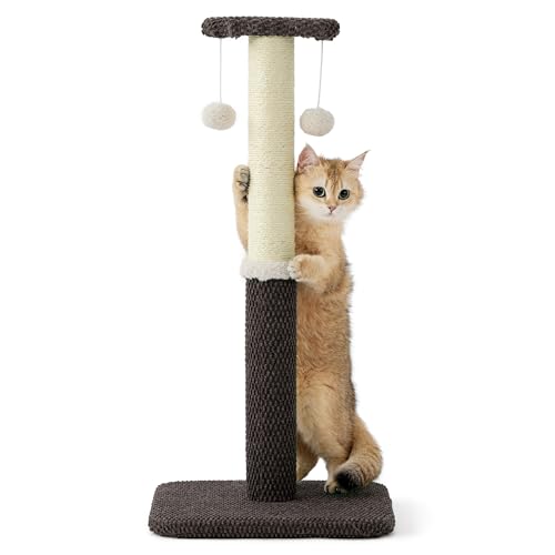 Lesure Kratzstamm Mittelgroß - 74 cm Kratzsäule für Katzen Mit Plattform aus Strapazierfähiger Teppichstoff, Kratzbaum Stabil Mit Sisal und Hängendem Ball, Braun von LE SURE