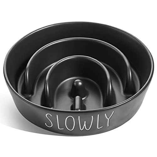 LE TAUCI PET Hund Slow Feeder Bowl Keramik, Puzzle Hund Futternapf für kleine mittelgroße Rassen, Welpen langsam Feeder Schüssel für schnelles Essen, Labyrinth-Schüssel, Haustiernapf von LE TAUCI PET