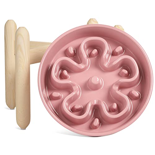 LE TAUCI Erhöhte Hundenäpfe, langsames Futternapf, 3 Tassen, erhöhter Hundenapf mit Holzständer für mittelgroße große Rassen, Puzzle-Hundefutternapf, Bloom Pink LE TAUCI Erhöhte Hundenäpfe, langsames Futternapf, 3 Tassen, erhöhter Hundenapf mit Holzständer für mittelgroße große Rassen, Puzzle-Hundefutternapf, Bloom Pink von LE TAUCI