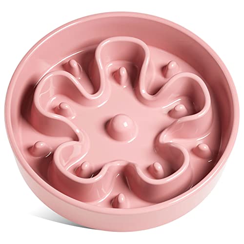 LE TAUCI Hundenapf aus Keramik, Antischlingnapf für Mittelgroße und Kleine Hunde, Langsam Fressen und Spaß für den Hund, Fressnapf mit Rutschfestem Design (Bloom Rosa, L-1200 ml) von LE TAUCI
