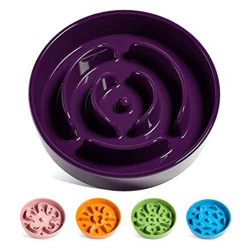 LE TAUCI Hundenapf aus Keramik, Antischlingnapf für Mittelgroße und Kleine Hunde, Langsam Fressen und Spaß für den Hund, Fressnapf mit Rutschfestem Design (Labyrinth Lila, M-675 ml) von LE TAUCI