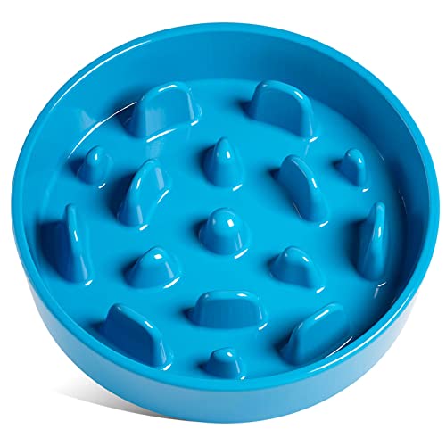 LE TAUCI Hundenapf aus Keramik, Antischlingnapf für Mittelgroße und Kleine Hunde, Langsam Fressen und Spaß für den Hund, Fressnapf mit Rutschfestem Design (Vortex Blau, L-1200 ml) von LE TAUCI
