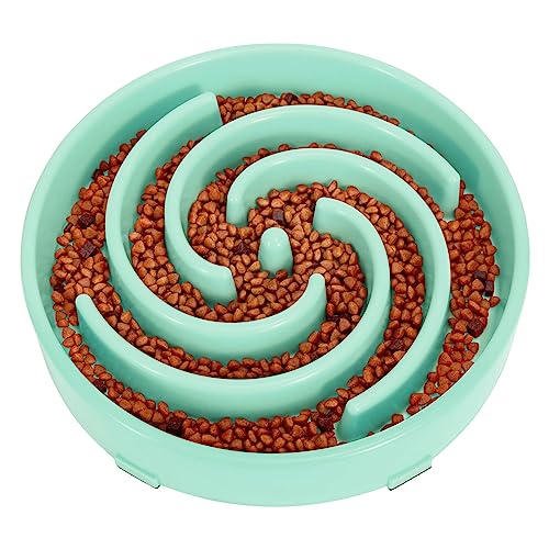 LEACOOLKEY Großer Futternapf für langsames Fressen, Labyrinth, interaktiver Futternapf, gegen Schlucken, gesunde Ernährung, stoppt Blähungen, langsames Füttern von Haustieren für mittelgroße und große Hunde (Bohnengrün) LEACOOLKEY Großer Futternapf für langsames Fressen, Labyrinth, interaktiver Futternapf, gegen Schlucken, gesunde Ernährung, stoppt Blähungen, langsames Füttern von Haustieren für mittelgroße und große Hunde (Bohnengrün) von LEACOOLKEY