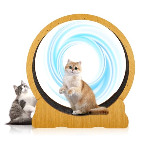 LEADZM Katzenlaufrad | 110cm Durchmesser - Laufrad Katze für große Katzen - Hochdichte Faserplatte, Kratzfest, stabil und leise - Geeignet für Katzen mit einem Gewicht bis zu 15 kg, Holzfarbe LEADZM Katzenlaufrad | 110cm Durchmesser - Laufrad Katze für große Katzen - Hochdichte Faserplatte, Kratzfest, stabil und leise - Geeignet für Katzen mit einem Gewicht bis zu 15 kg, Holzfarbe von LEADZM