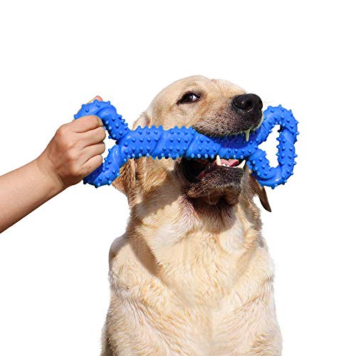 LECHONG Robustes Hunde-Kauspielzeug, 33 cm, Knochenform, extra großes Hundespielzeug mit konvexem Design, starkes Ziehspielzeug für aggressive Kauer, mittelgroße und große Hunde, Zahnreinigung (blau) von LECHONG