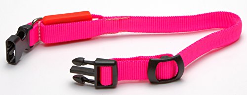 LED Leuchthalsband Hunde, Hundehalsband, Halsband Hund Leuchtend Blinkend Halsband M 15mm x 25-35 cm Rot von LED-Highlights