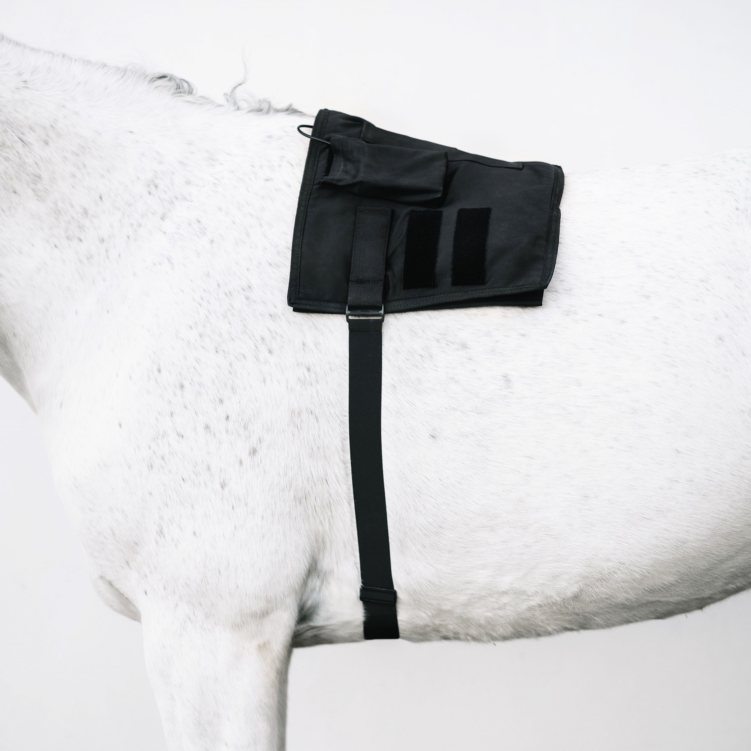 Cheval Led Elastisches verstellbares Band für Cheval Led Wrap Cheval Led Elastisches verstellbares Band für Cheval Led Wrap von LED by Cheval