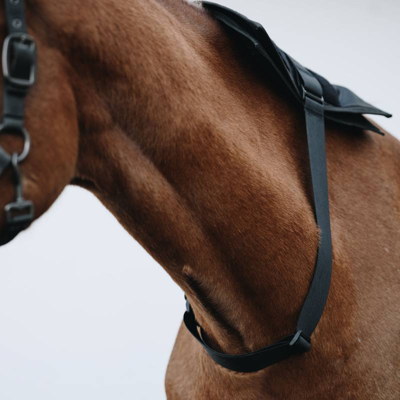 Cheval Led Verstellbares Band Für Cheval Led Wrap Cheval Led Verstellbares Band Für Cheval Led Wrap von LED by Cheval