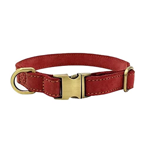 Leela Quantum Hundehalsband, handgefertigt, mit Quantenenergie veredelt, erhältlich in 3 verschiedenen Größen, Positive Energie Halsband für Ihr Haustier, Hellgrau, Klein Leela Quantum Hundehalsband, handgefertigt, mit Quantenenergie veredelt, erhältlich in 3 verschiedenen Größen, Positive Energie Halsband für Ihr Haustier, Hellgrau, Klein von LEELA QUANTUM TECH