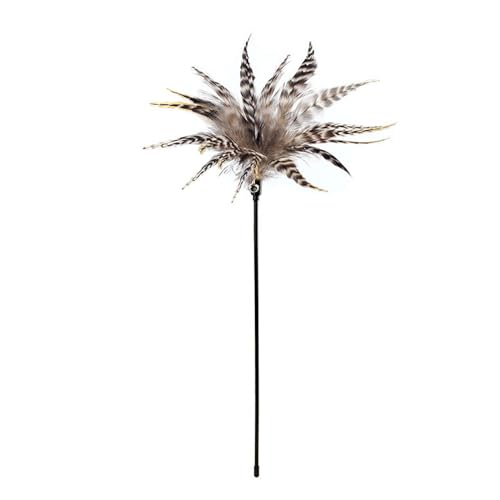 LEELOU 35 cm Katzen Teaser Spielzeug Feder Catkins Interactive Stick Toy Für Katzenkätzchen Draht Die Lustige Pet Training Tools Jagen LEELOU 35 cm Katzen Teaser Spielzeug Feder Catkins Interactive Stick Toy Für Katzenkätzchen Draht Die Lustige Pet Training Tools Jagen von LEELOU