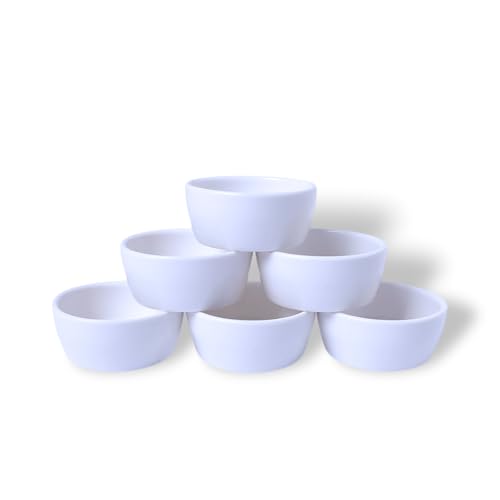 Mikro-Keramik-Wassernapf für Spinnen, Tarantel, Skorpion, Tausendfüßler, Einsiedlerkrebse, kleine Reptilien, 6 Stück (42,5 g) von LEETOYI