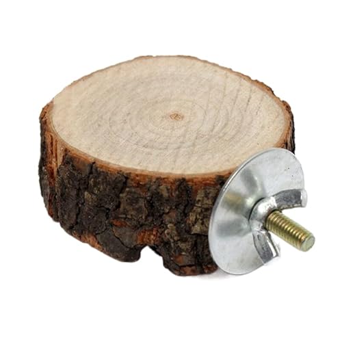 LEEVUS Vogelspielzeug, rund, Holz, Eichhörnchen, Papageien, Vogelsitz, Ständer, Plattform, Haustier, Vogel, zum Aufhängen, 1 Stück LEEVUS Vogelspielzeug, rund, Holz, Eichhörnchen, Papageien, Vogelsitz, Ständer, Plattform, Haustier, Vogel, zum Aufhängen, 1 Stück von LEEVUS