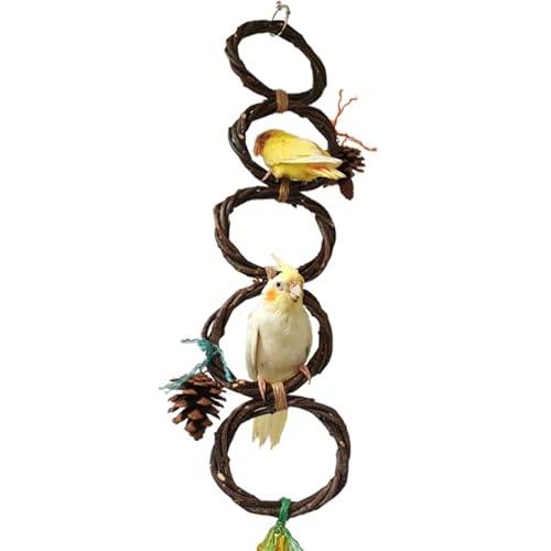 LEEVUS Vogelspielzeug für Haustiere, Vögel, Schaukel, Kletterspielzeug, zum Aufhängen, Apfelholz, Ring mit Tannenzapfen, Papageienspielzeug, 1 Stück, 5 Ringe A LEEVUS Vogelspielzeug für Haustiere, Vögel, Schaukel, Kletterspielzeug, zum Aufhängen, Apfelholz, Ring mit Tannenzapfen, Papageienspielzeug, 1 Stück, 5 Ringe A von LEEVUS