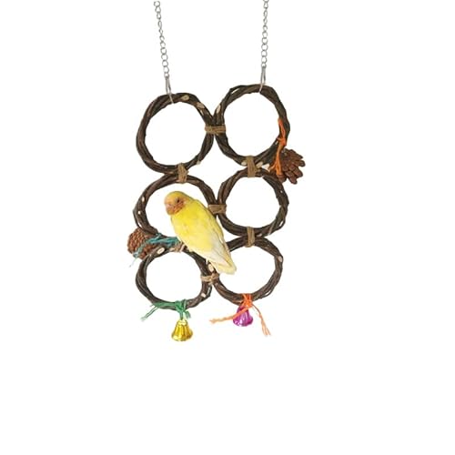 LEEVUS Vogelspielzeug für Haustiere, Vögel, Schaukel, Kletterspielzeug, zum Aufhängen, Apfelholz, Ring mit Tannenzapfen, Papageienspielzeug, 1 Stück, 6 Ringe LEEVUS Vogelspielzeug für Haustiere, Vögel, Schaukel, Kletterspielzeug, zum Aufhängen, Apfelholz, Ring mit Tannenzapfen, Papageienspielzeug, 1 Stück, 6 Ringe von LEEVUS