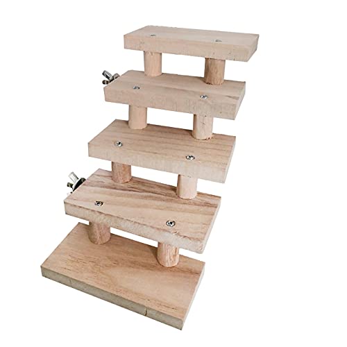 Vogelspielzeug, Hamsterleiter, Spielzeug, Papageien, Holzleiter, Spielzeug, Klettern, Treppen, Haustierspielzeug, Haustierkäfig, Zubehör, 1 Stück, 5 Leitern Vogelspielzeug, Hamsterleiter, Spielzeug, Papageien, Holzleiter, Spielzeug, Klettern, Treppen, Haustierspielzeug, Haustierkäfig, Zubehör, 1 Stück, 5 Leitern von LEEVUS