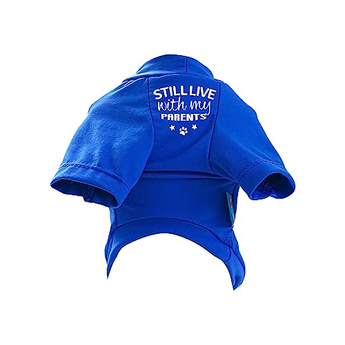 Hund Spring T Shirt Für Hunde Jungen Oder Mädchen Mittlere Hunde Für Innen Und Außenwörter Verwenden Lustige Worte Outfit Für Haustierhund von LEIDJGUN