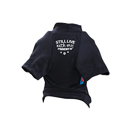 Hund Spring T Shirt Für Hunde Jungen Oder Mädchen Mittlere Hunde Für Innen Und Außenwörter Verwenden Lustige Worte Outfit Für Haustierhund von LEIDJGUN