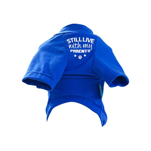 Hund Spring T Shirt Für Hunde Jungen Oder Mädchen Mittlere Hunde Für Innen Und Außenwörter Verwenden Lustige Worte Outfit Für Haustierhund von LEIDJGUN